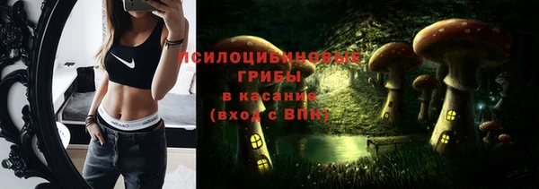 а пвп мука Козельск