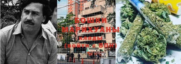 прущий лед Козловка