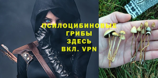 прущий лед Козловка