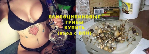 а пвп мука Козельск