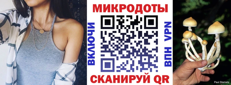 Псилоцибиновые грибы Cubensis  Купить где  Котельниково 
